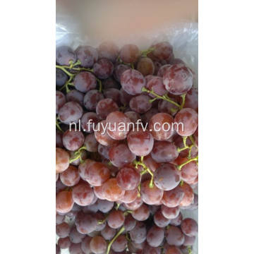 Nieuw gewas Verse en goede kwaliteit rode druif